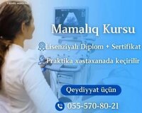 Mamalıq Kursu