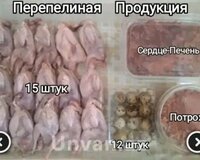 Bildirçin əti