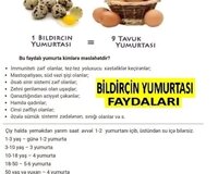 Bildirçin yumurtası