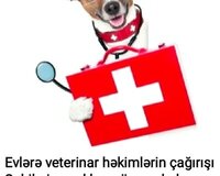 Səyyar Baytarlıq Xidməti