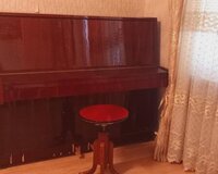 rostov-don pianino elimyandi qiymetine satilir