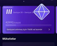 Tiktok 21 Level Hesab