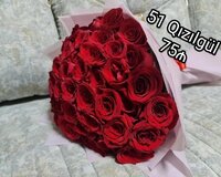 51 Qızılgül