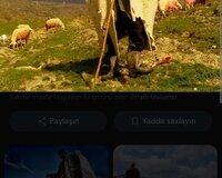 Çoban lazımdı