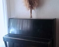 Belarus, fortepiano