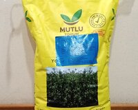 Bilensoy yonca toxumu- Mutlu toxum