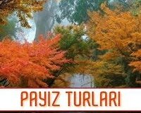 Payız tur