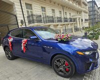 Maserati toyasini kirayesi