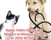 Baytar Hekim İlkin