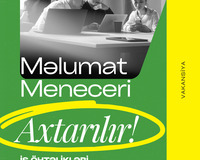 Məlumat Meneceri