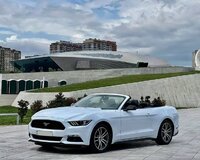 Ford Mustang icaresi gundelik