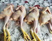 Təbii Kənd Çolpaları