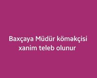 Baxçaya Müdür Köməkçisi xanim teleb olunur