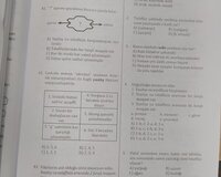 Onlayn İngilis dili rus dili dersi