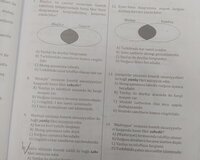Onlayn ibtidai sinif hazırlığı