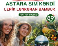 Turlarin Satisi