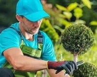 Bağban və suvaqçı işləri