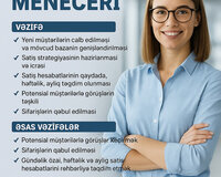 Məlumat meneceri