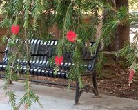 Ibtidai sinif (rus bolmesi)