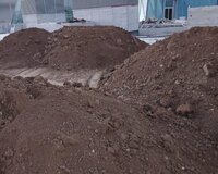 Qara torpaq və peyin