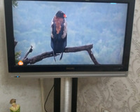 Televizor yaxsi veziyetdedi