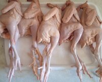 Çolpa əti kampaniya