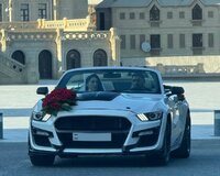 Mustang kiraye gelin masini