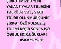 Vakansiyalar menecer