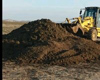 Qara torpağ peyin istənilən yerə sifariş verə bilərsiniz