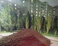 Qara Torpağ Peyin satşi bizdə ismayllı və Şamaxdan