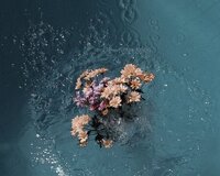 7 və 8 ci siniflərə Tarix hazırlığı