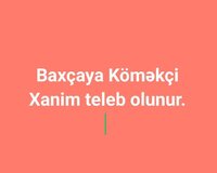 Baxçaya Müdür Köməkçisi Xanim teleb olunur