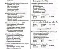 Onlayn ədəbiyyat dersi