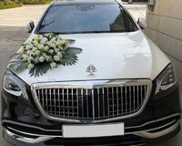 Sclass Maybach Vip icare gelin masini