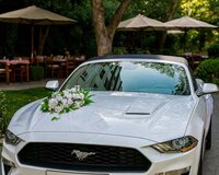 Mustang toy masin icaresi