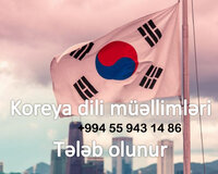 Tədris mərkəzinə Koreya dili müəllimləri tələb olunur