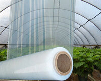 İstixana üçün salafan