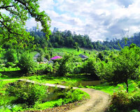 Masallı Yardımlı Lerik turu