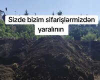 Mese topaqı ve torf