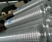 Naxcivanda qəfəs setkalari