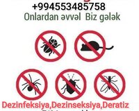 Dezinfeksiya Dezinseksiya Deratizasiya