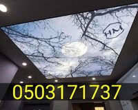 Dartma tavan dartma tavanlar