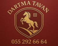 5d dartma tavan