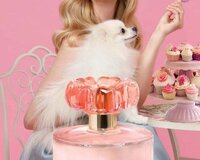 Parfüm şirketine işçi xanımlar axtarılır