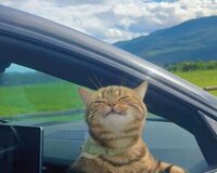 Riyaziyyat və ibtidai siniflər üzrə hazırlıq