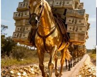 Menecer köməkçisi vakansiyaları