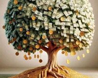 Gənclərə biznes əməkdaşlıq təklifi