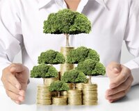 Ali təhsilli Gənclər üçün Biznes Partnyorluğu imkanı