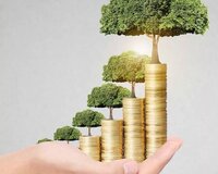 Gənclər üçün biznes əməkdaşlığı təklif olunur