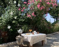 Jaluz perde stor plise